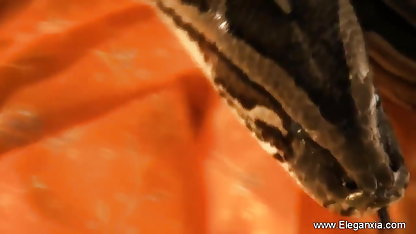 वह squirts पर एचडी में सेक्सी मूवी गांड भाड़ में जाओ